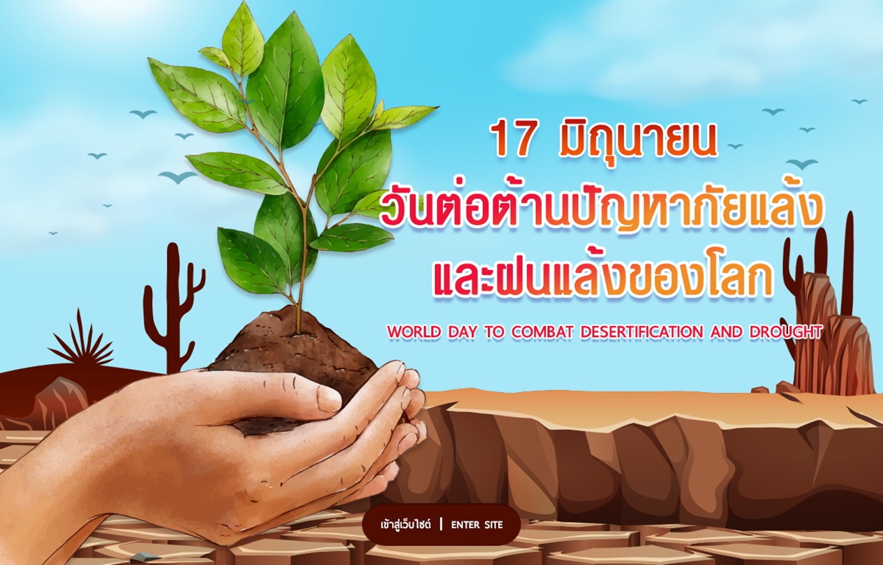 สไลด์อินโทรเว็บไซต์