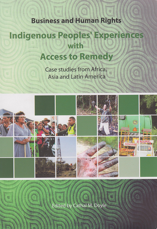  Business and human rights : indigenous peoples' experiences with access to remedy : case studies from Africa, Asia and Latin America 