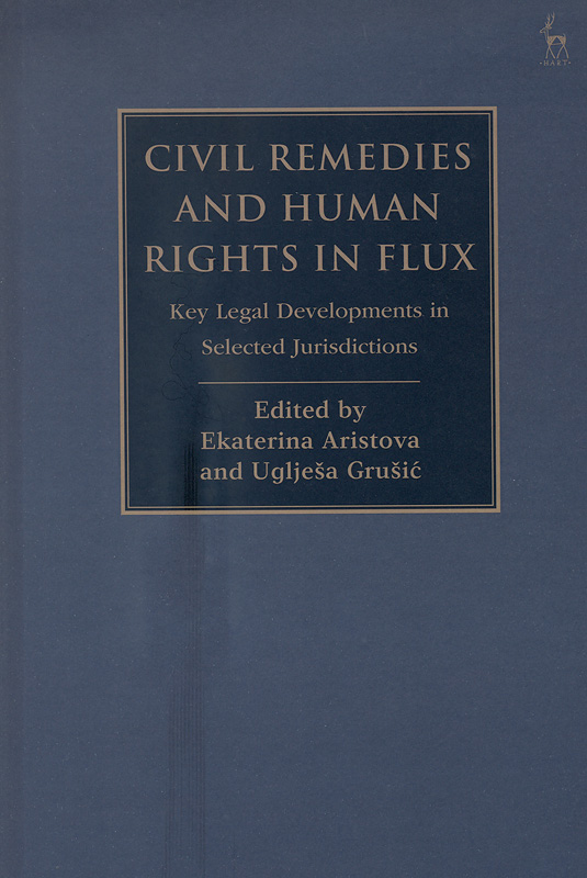 Civil remedies and human rights in flux : key legal developments in selected jurisdictions 