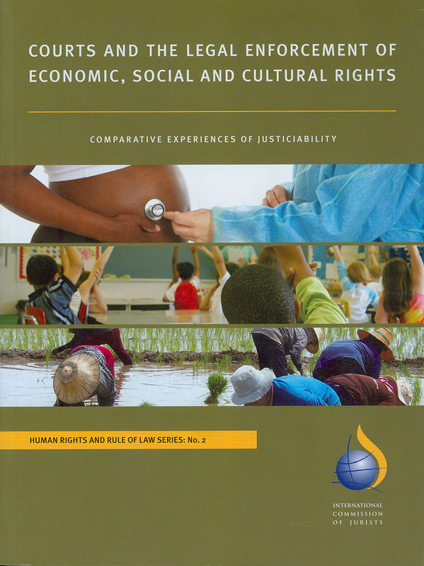  Courts and the legal enforcement of economic, social and cultural rights : comparative experiences of justiciability 