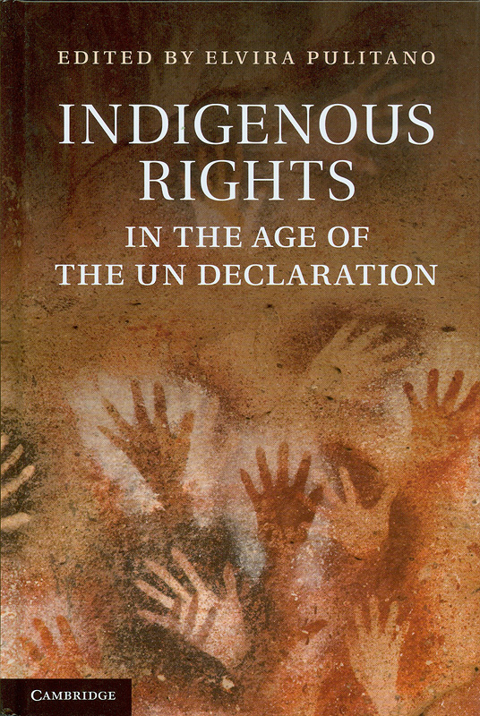  Indigenous rights in the age of the UN declaration 